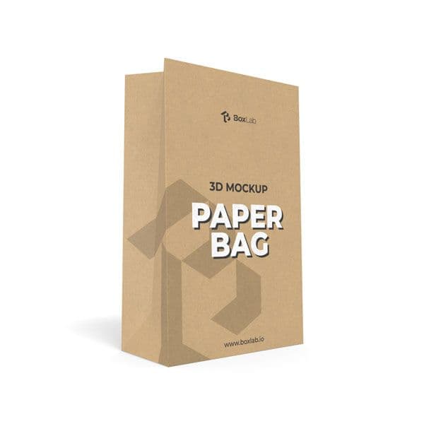 Paper Bag without Handle