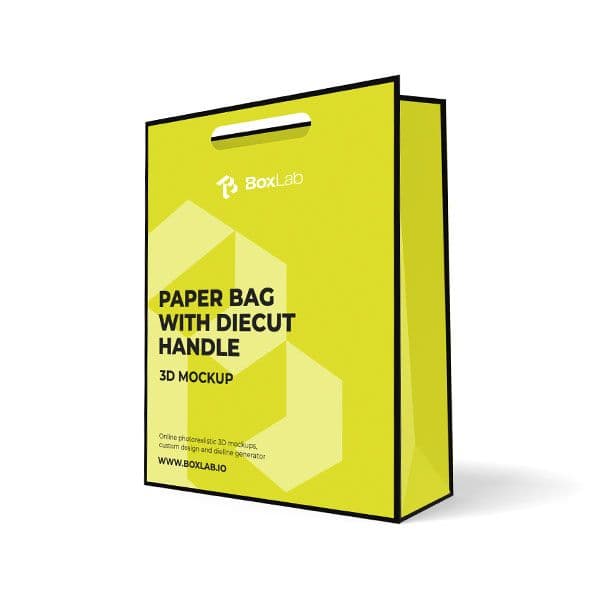 Paper Bag with Diecut Handle